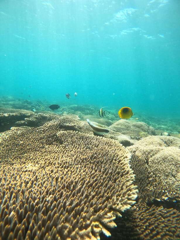 5 Secret Gili Boat Trip & Snorkeling in Southwest Of Lombok - Gili Kedis: the tiny island finale