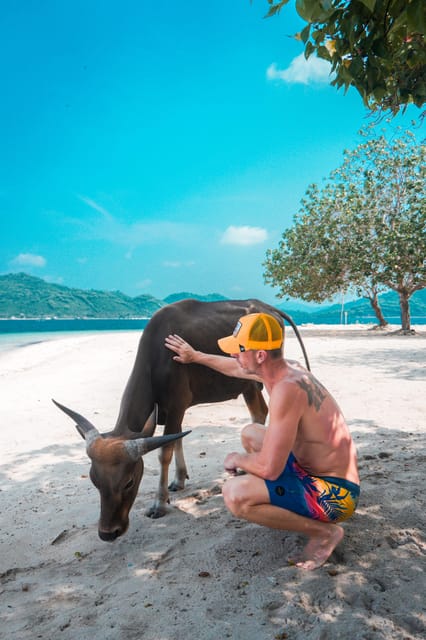 5 Secret Gili Boat Trip & Snorkeling in Southwest Of Lombok - What the $83 price includes