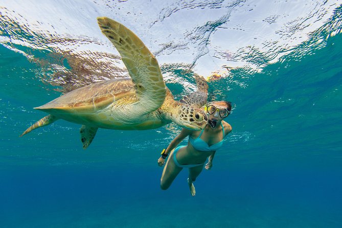 50' Luxury Yacht. Private Full or Half Day Catamaran Snorkel, & Beach Experience - Secret Harbour and Brewer’s Bay