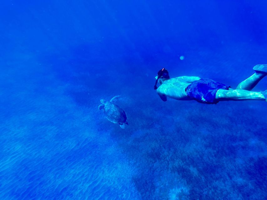 Abades: Guided Snorkeling Tour with Photos - Entering the water at Playa Abades