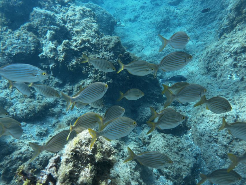 Abades: Guided Snorkeling Tour with Photos - Photos and videos add real value