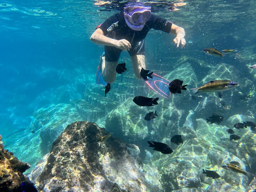 Abades: Guided Snorkeling Tour with Photos - Language, timing, and cancellation flexibility