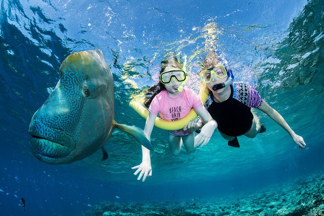 ABC Reef Safaris - Two outer reef sites, with time to look around
