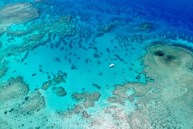 ABC Reef Safaris - The cost: high, but tied to the level of service