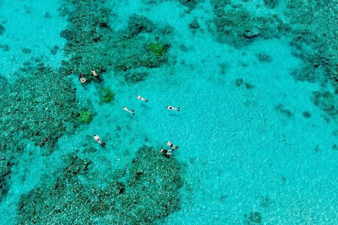ABC Reef Safaris - Booking details and weather limits