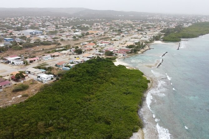 Adventure Kayak & Snorkeling at Reef Island Aruba - Spanish Lagoon and the Halto mangroves