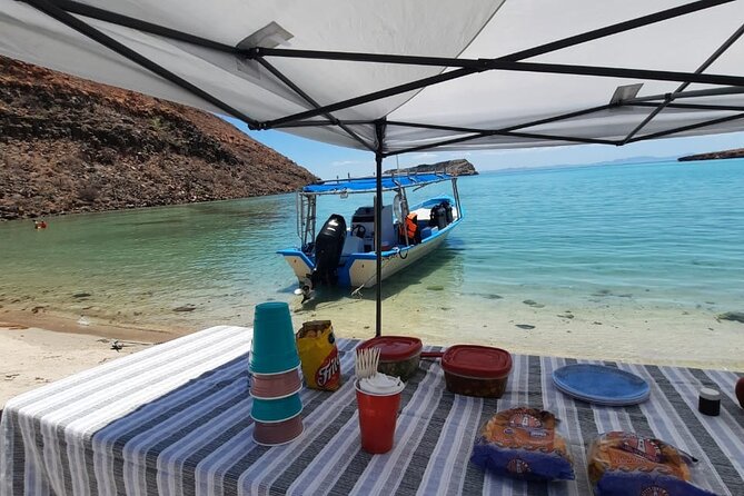 Adventure to Espiritu Santo Island: Snorkel with Sea Lions and Beach - Who should book this La Paz excursion?