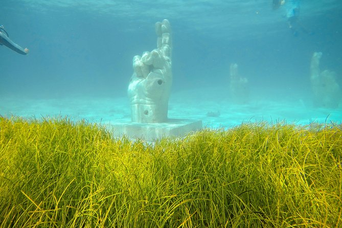 Afternoon Half-Day Catmaran Sailing and Snorkel Adventure - Is $49.99 a good value?