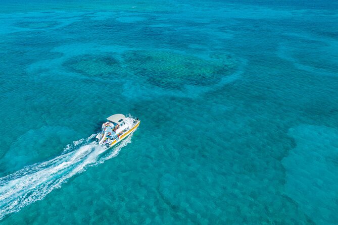Afternoon Half Day Cruise from Providenciales with Snorkeling and Iguana Island - Key points at a glance