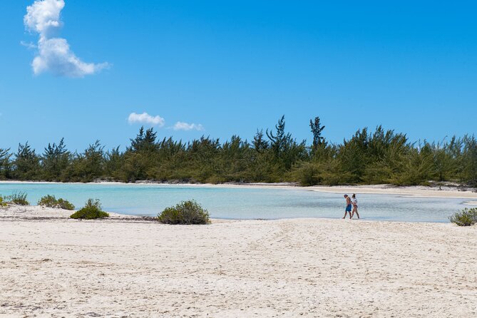 Afternoon Half Day Cruise from Providenciales with Snorkeling and Iguana Island - Cruising past Grace Bay Beach