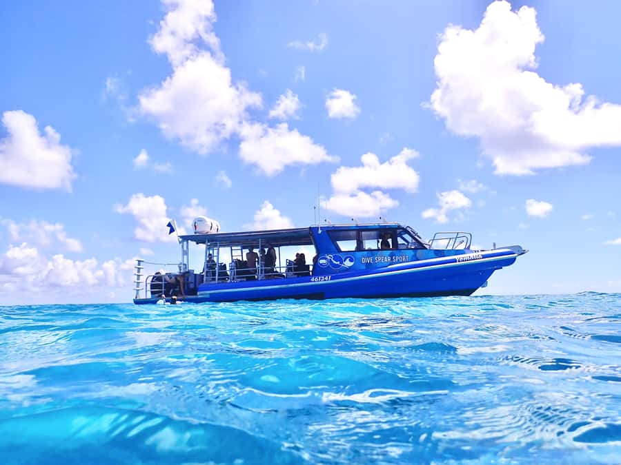 Agnes/1770: Southern Great Barrier Reef Snorkelling Day Trip - The first reef session: ledges, walls, and coral bommies