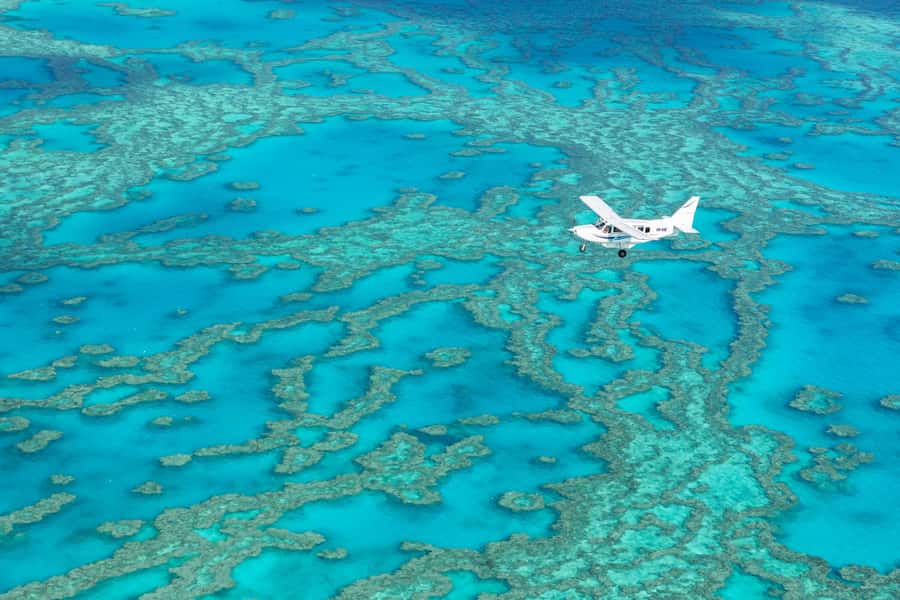 Airlie Beach: Fly Raft Package w Scenic Flight & Snorkeling - The 60-minute flight over Whitehaven and Heart Reef