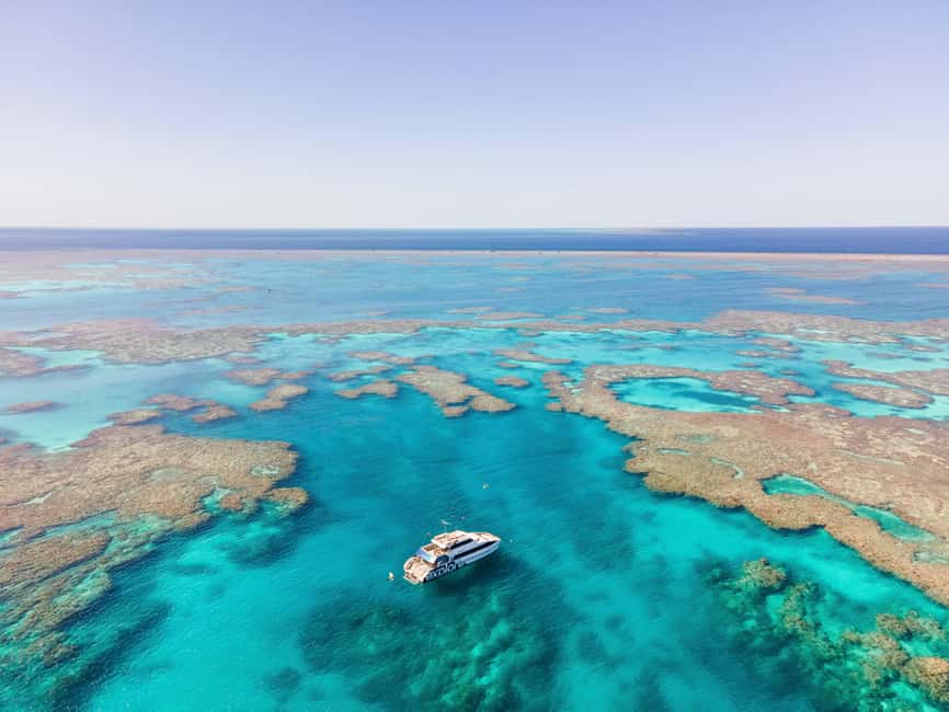 Airlie Beach: Great Barrier Reef Snorkel from Shute Harbour - Key points to know before booking