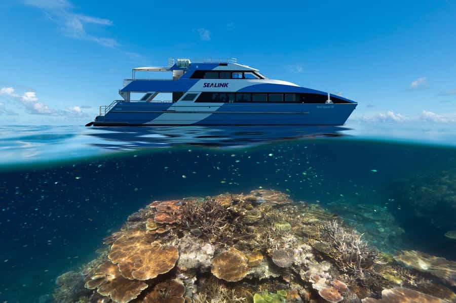 Airlie Beach: Outer Great Barrier Reef Snorkeling Day Trip - Safety support for confident and nervous swimmers