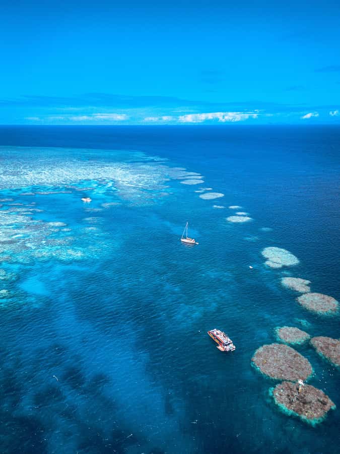 Airlie Beach: Outer Great Barrier Reef Snorkeling Day Trip - Is $211 good value?