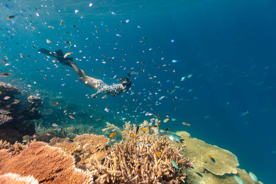 Airlie Beach: Outer Great Barrier Reef Snorkeling Day Trip - What happens when the Outer Reef is too rough