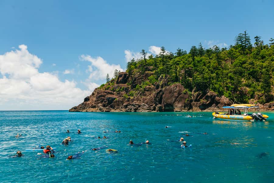 Airlie Beach: Snorkel, Hill Inlet Lookout & Whitehaven Beach - Snorkeling around Hook and Border Island