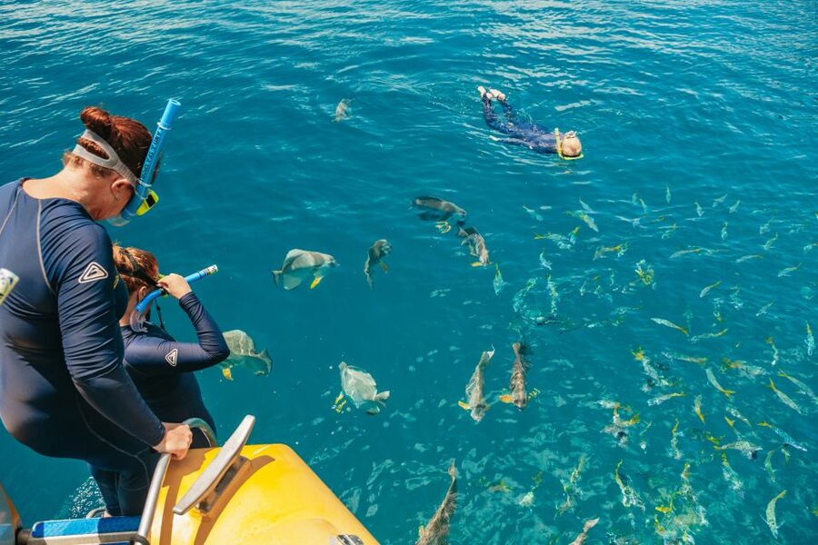 Airlie Beach: Snorkel, Hill Inlet Lookout & Whitehaven Beach - Pickup times and a smooth start
