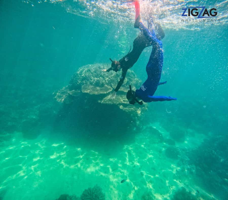 Airlie Beach: Whitehaven Beach Day Tour with Snorkel Option - A fast, comfortable run from Airlie Beach