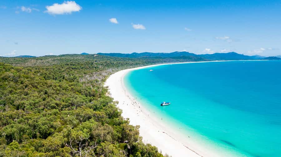 Airlie Beach: Whitehaven Beach Day Tour with Snorkel Option - Should you book it?