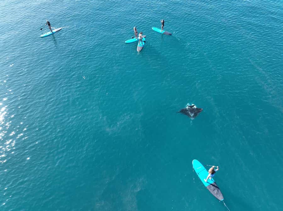 Airlie Beach: Whitsunday Islands Sailing, SUP & Snorkel Tour - What the $162 price gets you