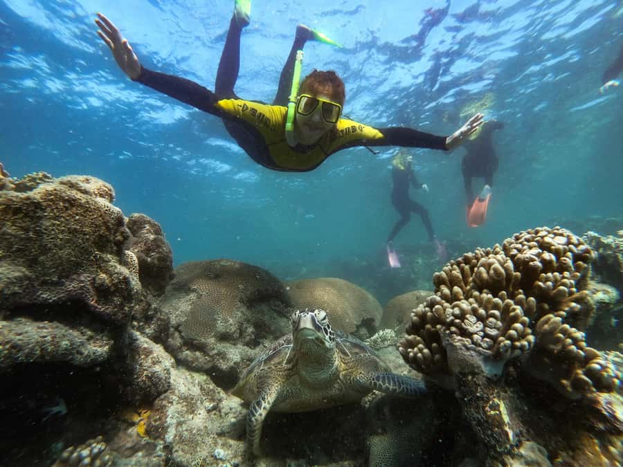 Airlie Beach: Whitsunday Islands Sailing, SUP & Snorkel Tour - Who should book Wings III