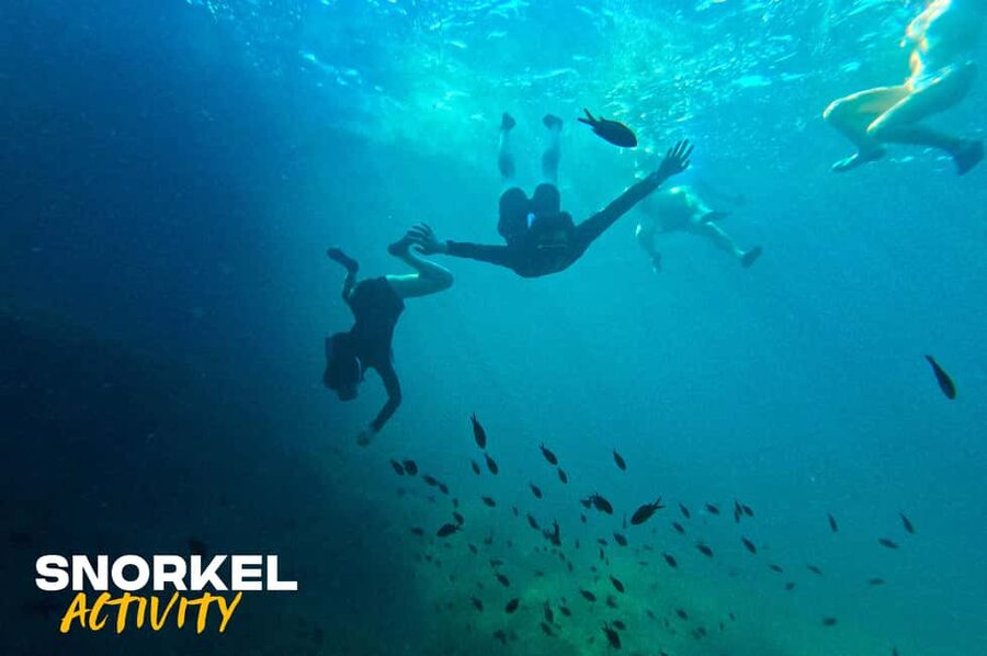 Alcudia: Kayak Tour with Snorkel & Sea Cave Swim - Key points before you book