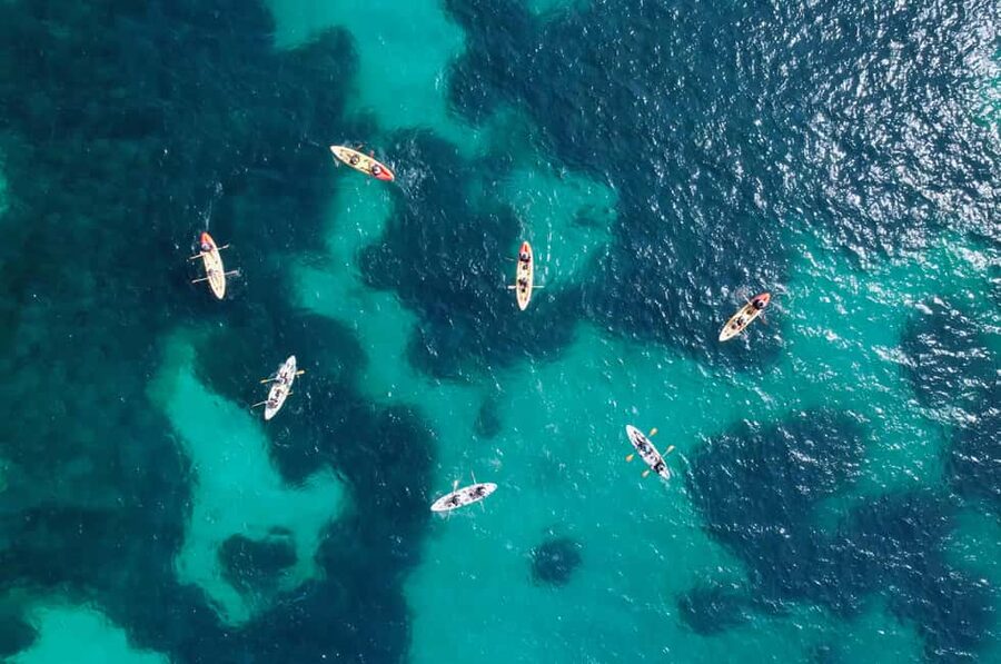 Alcudia: Kayak Tour with Snorkel & Sea Cave Swim - Price, value, and what is included