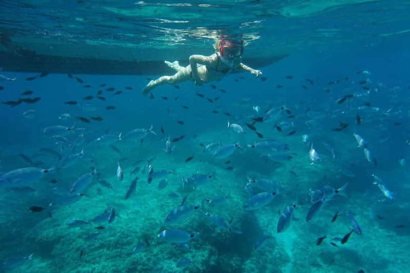 Alcudia: Sea Caves Coves and Snorkeling in small groups - Cap Ferrutx and the largest cave in northern Mallorca