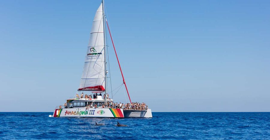 Alcudia: Sunset Catamaran Tour with Dinner and Snorkeling - Sunset views across northern Mallorca