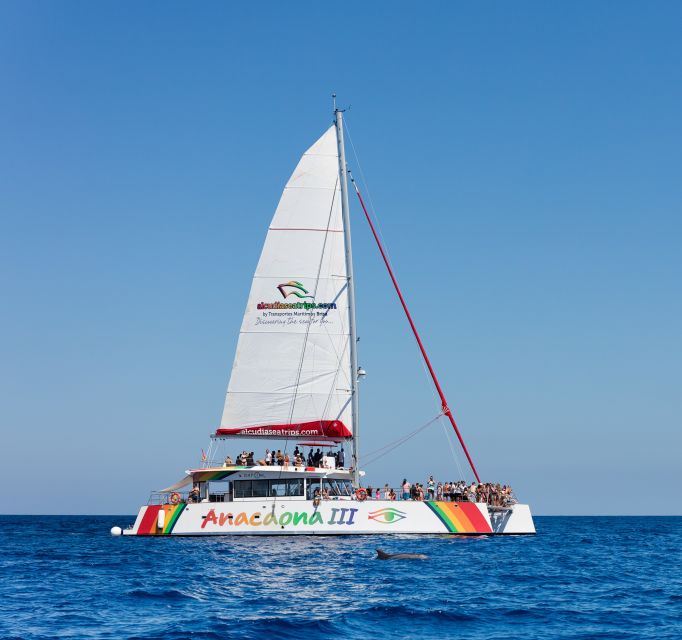 Alcudia: Sunset Catamaran Tour with Dinner and Snorkeling - Who will enjoy this Alcudia boat trip most?