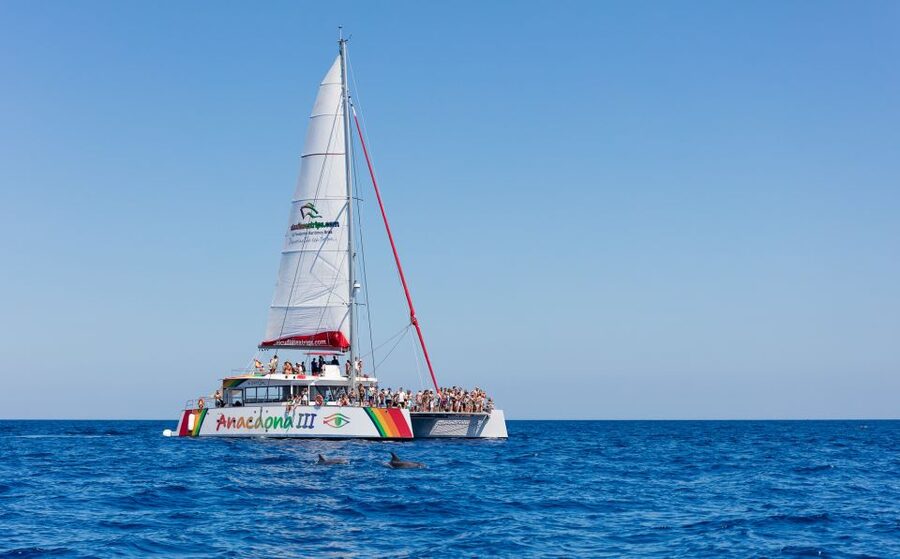 Alcudia: Sunset Catamaran Tour with Dinner and Snorkeling - The quiet cove is the heart of the trip