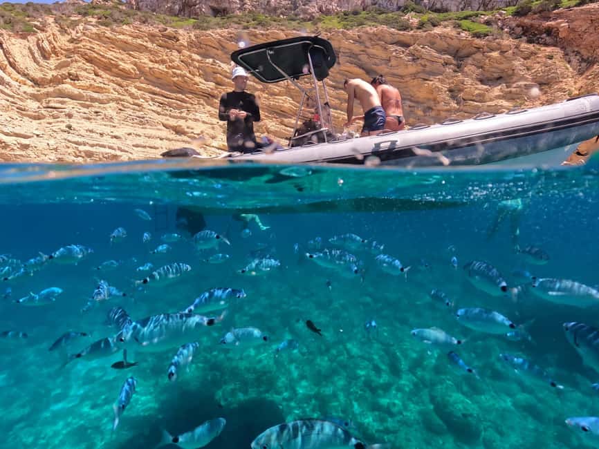 Alghero: Boat Tour and Snorkeling with Aperitif Porto Conte - Snorkeling in the coves