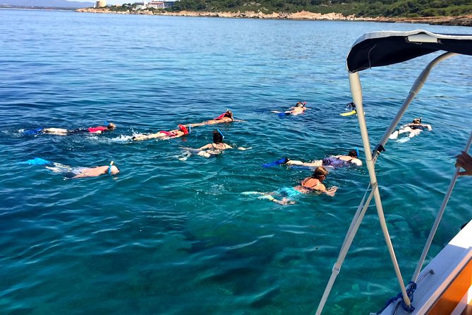 Alghero - Dolphin Watching and Guided Snorkeling (summer tour) - Guided snorkeling for first-timers