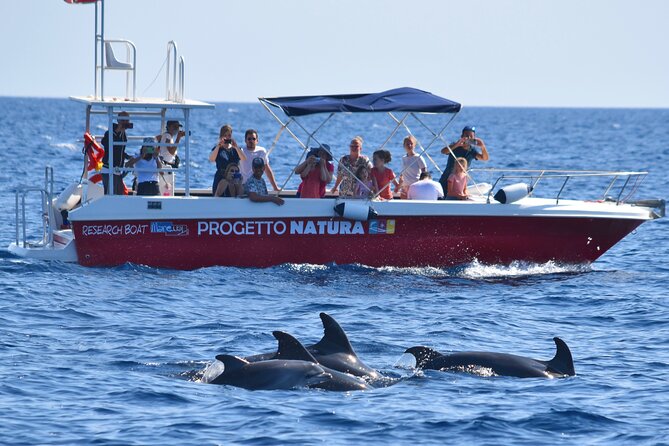 Alghero - Dolphin Watching and Guided Snorkeling (summer tour) - What the four hours are really worth