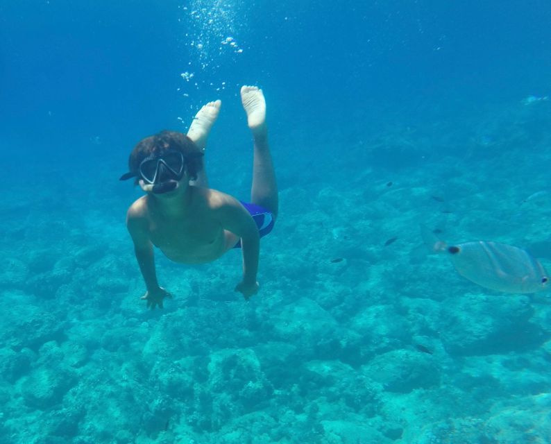 Alghero: Snorkeling Boat Tour in Porto Conte and Capo Caccia - Cala Dragunara and the first swim