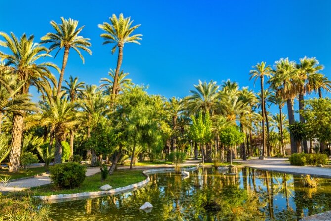 Alicante: Calas & Beaches Snorkeling with E - Bikes - Is $36.01 a fair price?