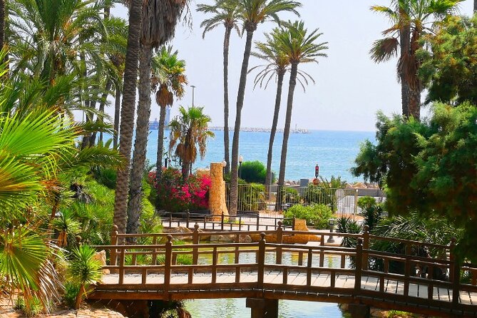 Alicante: Calas & Beaches Snorkeling with E - Bikes - Who will enjoy this Alicante bike and snorkel trip?