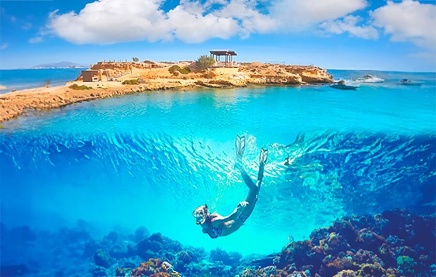 Alicante : E-Bike Coast Tour, Roman Fish Farm and Snorkeling - Key points at a glance