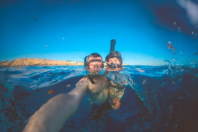 Alicante E-Bike Coast Tour with Román Fishpond and Snorkeling - Mirador del Raval Roig and the Postiguet view