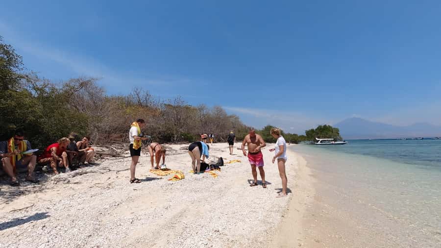 All Include Snorkeling Menjangan Island - Key things to know before you go