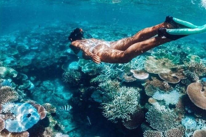 All Inclusive : Bali Blue Lagoon Snorkeling, Lunch, and Transport - Blue Lagoon gives beginners a gentle start