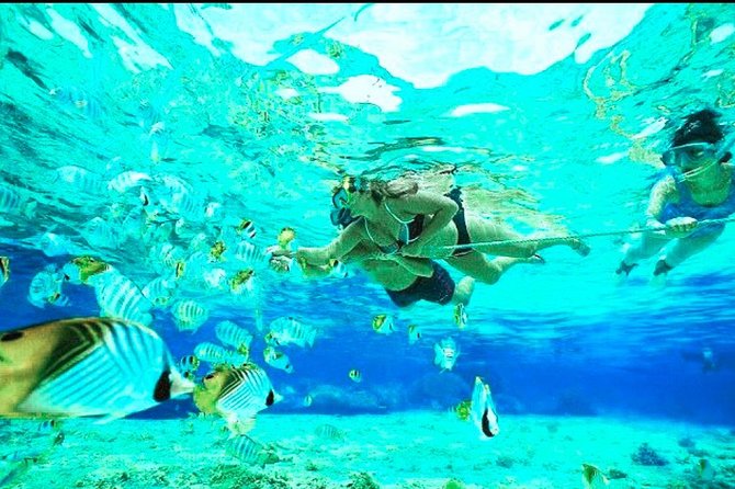All Inclusive : Bali Blue Lagoon Snorkeling, Lunch, and Transport - Who will enjoy this Padangbai outing
