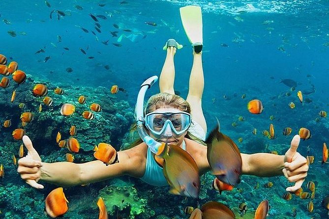 All Inclusive : Bali Blue Lagoon Snorkeling, Lunch, and Transport - Tanjung Jepun adds a second look at the reef