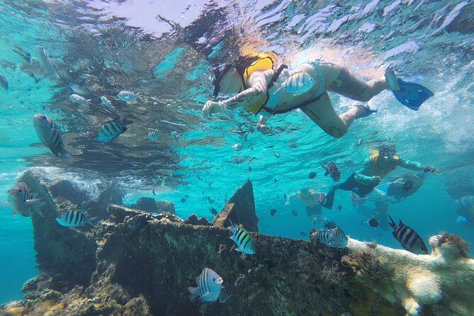 All-Inclusive Isla Mujeres Catamaran with Free Transportation - Lunch, beach club time, and a swim at Blanquizal