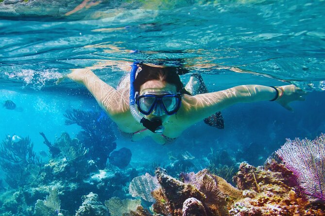 Amalfi Coast Snorkeling and Limoncello Tasting: 4h Boat Tour - Conca dei Marini and the first swim