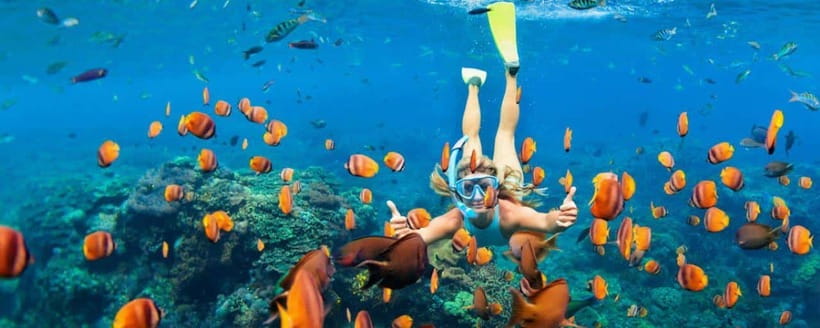 Amed: Snorkeling Tour with Japanese Shipwreck and Coral … - The Japanese Shipwreck and its coral cover