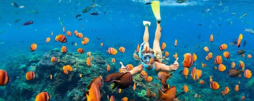 Amed: Snorkeling Tour with Japanese Shipwreck and Coral … - Who will get the most from this Amed tour