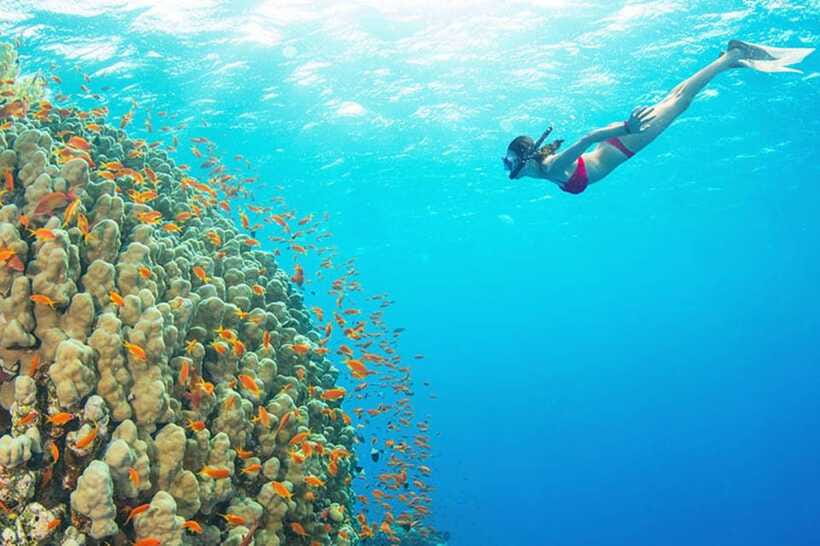 Amed: Snorkeling Tour with Japanese Shipwreck and Coral … - Is the $40 price good value?