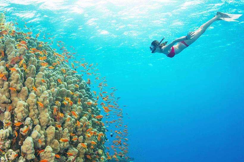 Amed: Snorkeling Tour with Japanese Shipwreck and Coral … - Starting at Amed Beach and Pyramid